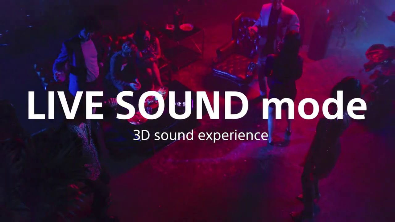 Sony SRS XB43 EXTRA BASS Wireless Portable