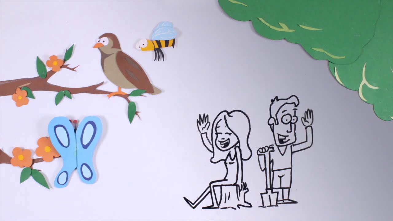 Wadi aanleggen om je tuin klimaatbestendig te maken