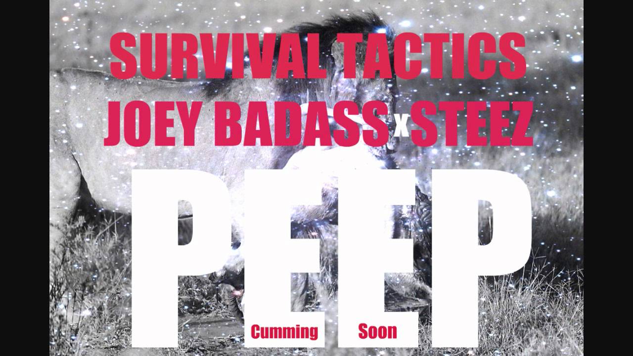 Joey BADA$$ x Jay STEEZ - Survival Tactics