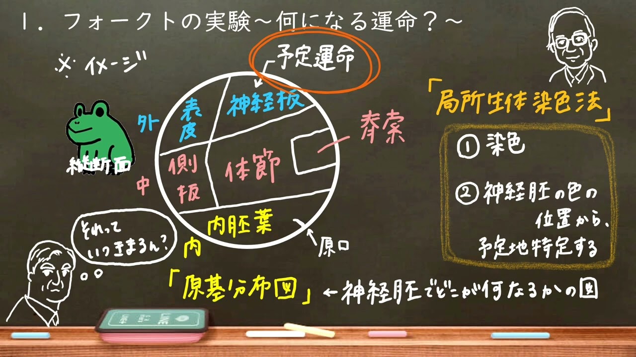 おうち生物　52. 予定運命と決定