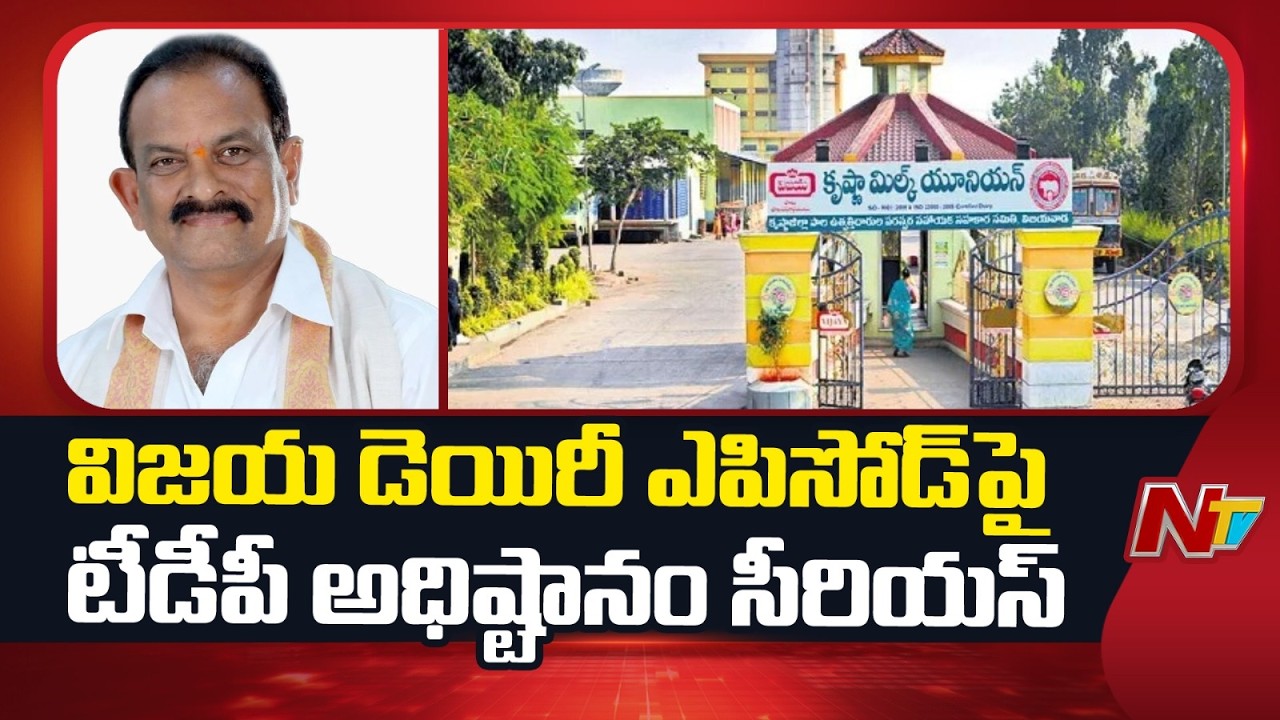 TDP High Command Serious On Vijaya Dairy Controversy | NTV Telugu
