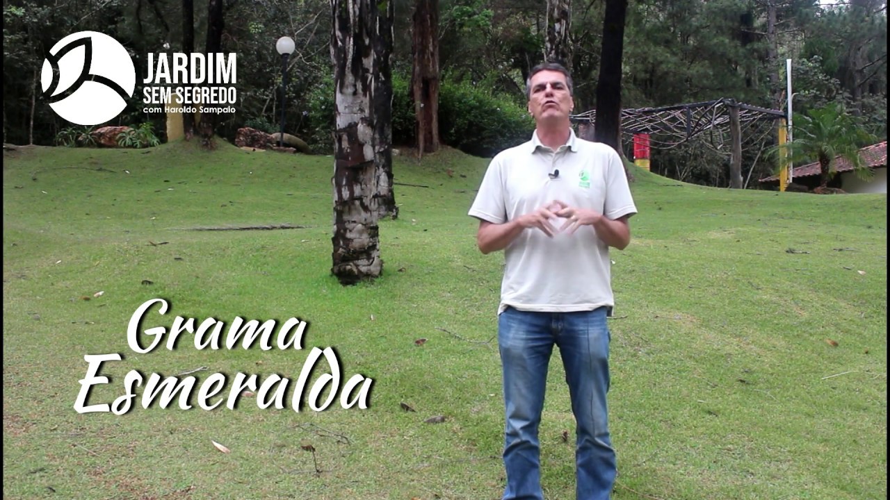 Grama esmeralda - Jardim sem segredo