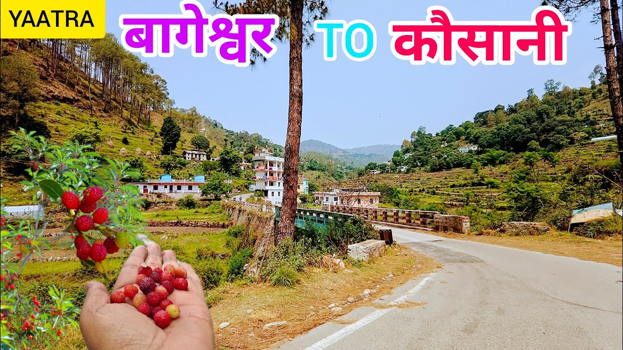 एक यादगार सफर- बागेश्वर से कौसानी#travel #uttarakhandsanskriti #himalayancultures #कौसानी
