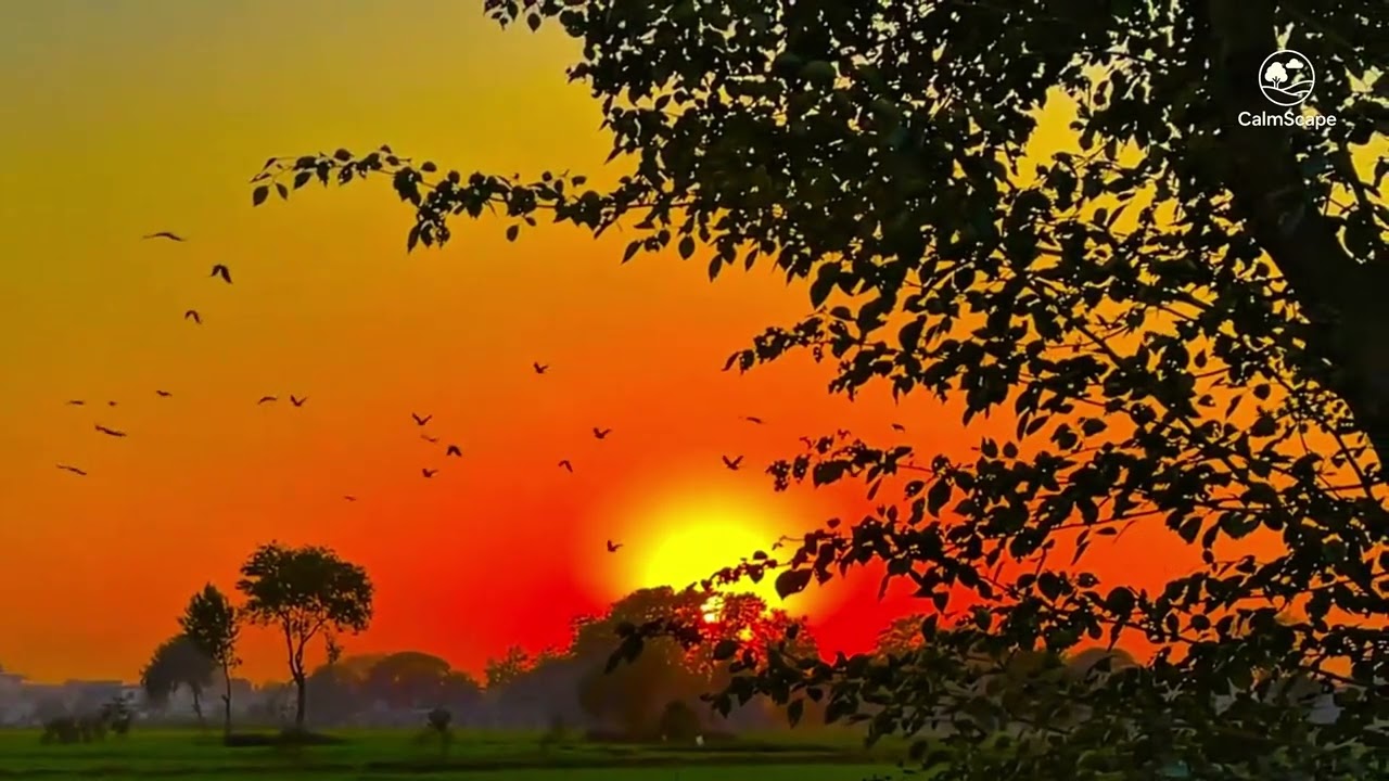 Most Beautiful Village Sunset Ever | 4K 60FPS Ultra HD | Nature Relaxing Video