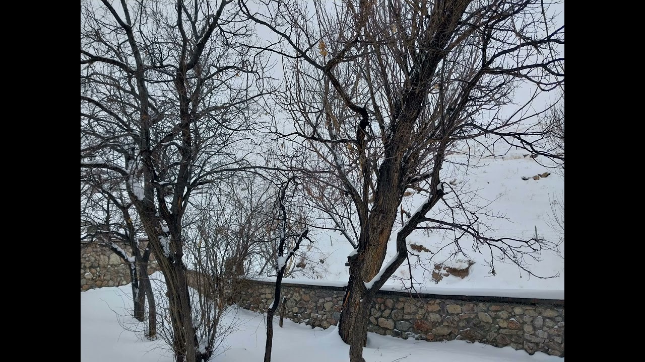 Dilimde acı bir ezgiyle 