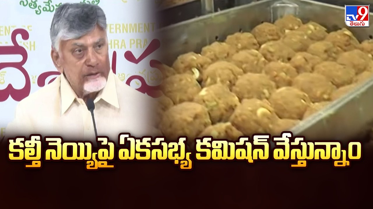 కల్తీ నెయ్యిపై ఏకసభ్య కమిషన్ వేస్తున్నాం  : CM Chandrababu - TV9