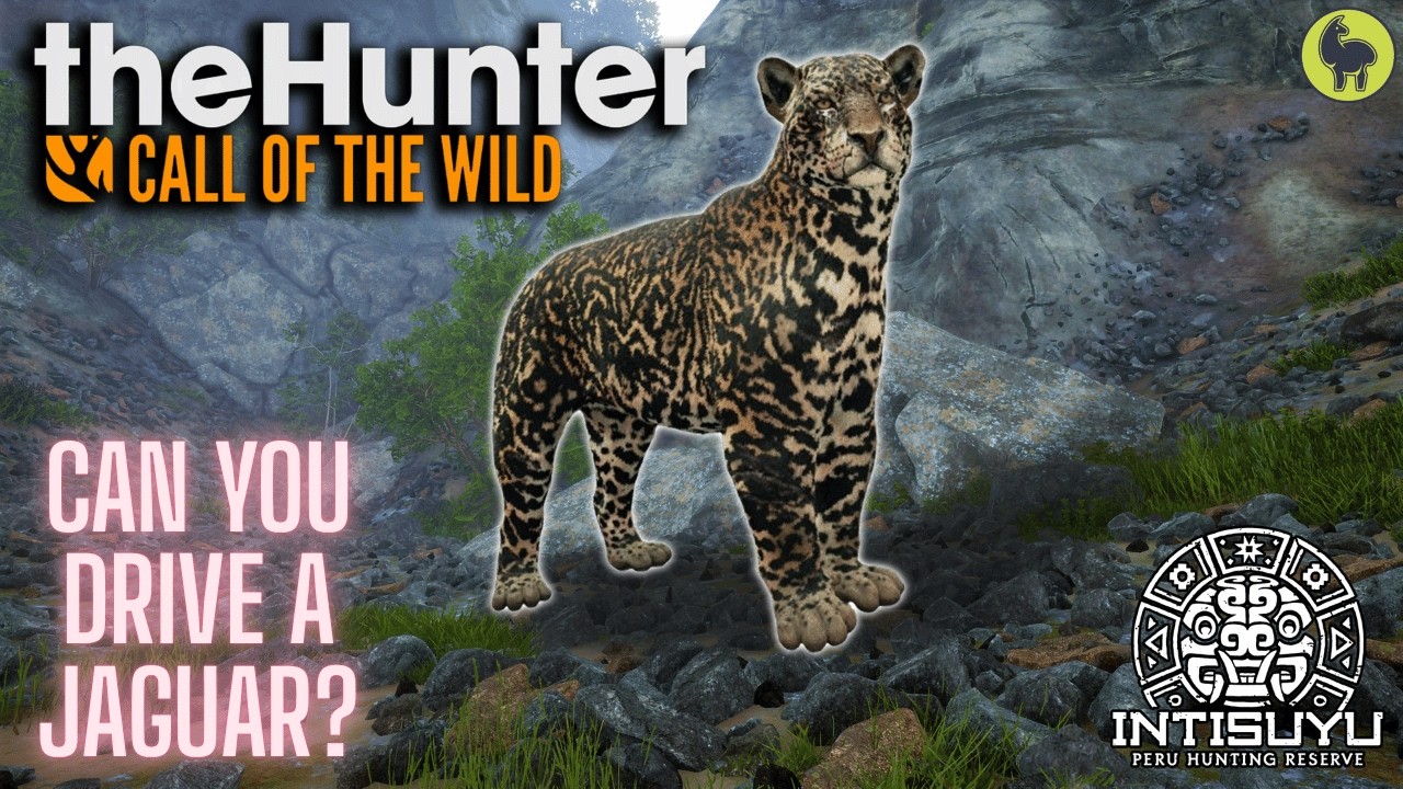 Справишься с ягуаром? Intisuyu | theHunter: Call of the Wild