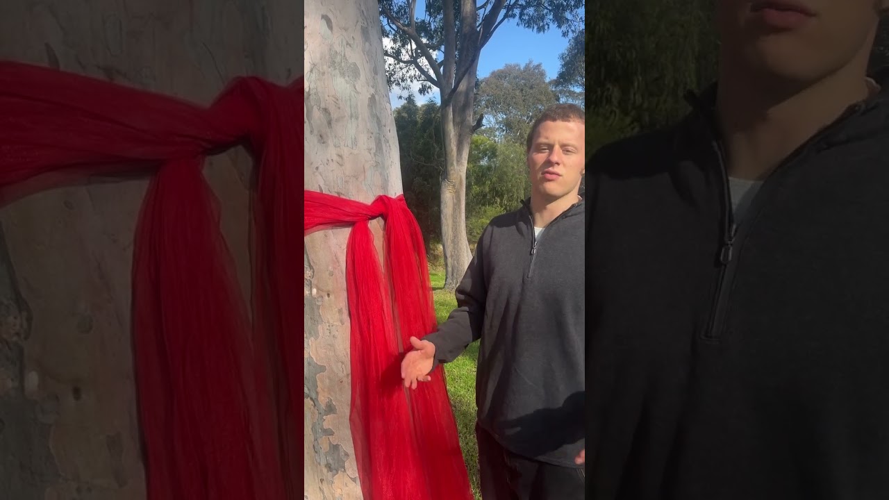 How to tie the perfect Big Red Bow!