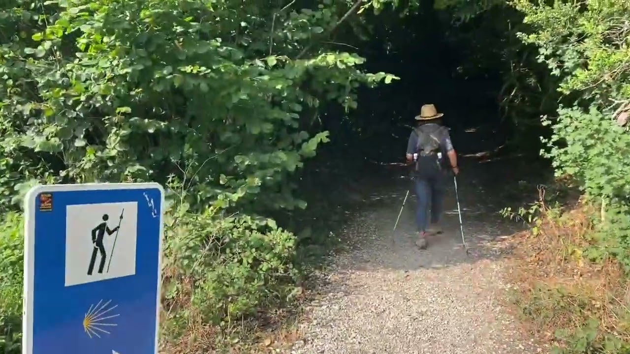 Camino Francés. Etapa 2. Roncesvalles - Zubiri. 22 km. 15-07-22