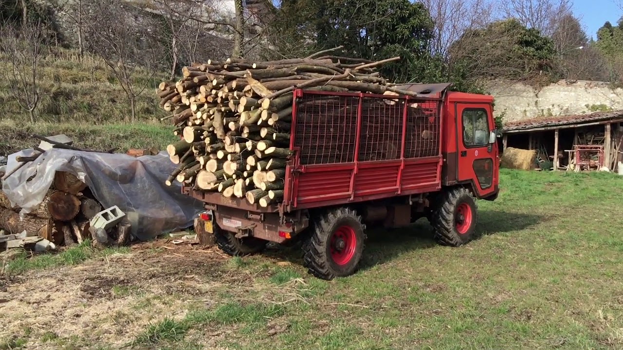 Motoagricola transporter scarico legna