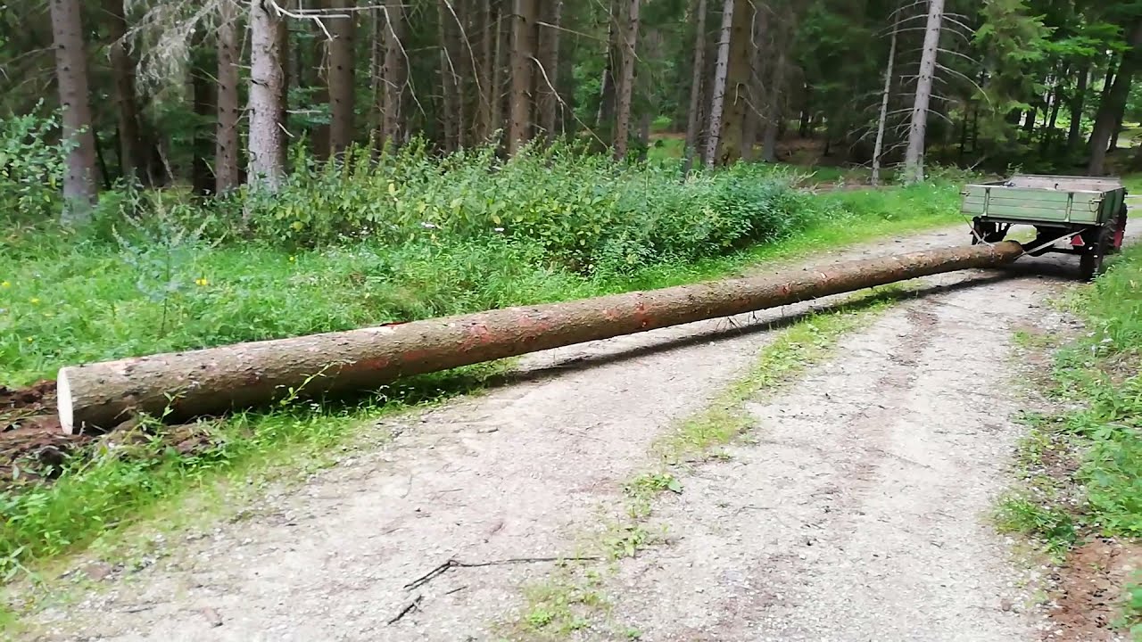 Holder Ed 2 mit Triebachsanh&auml;nger, Holz-Schl&ouml;pfen Baum ausn Wald ziehen  2.Video