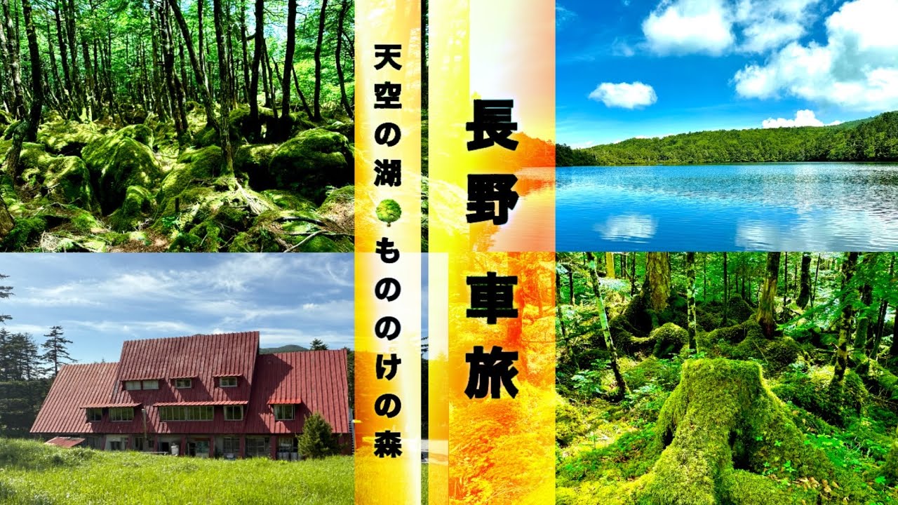 標高2000m超え！この夏行きたい！森まるごとジブリの世界⭐️【避暑地】【幻想的】【神秘的】