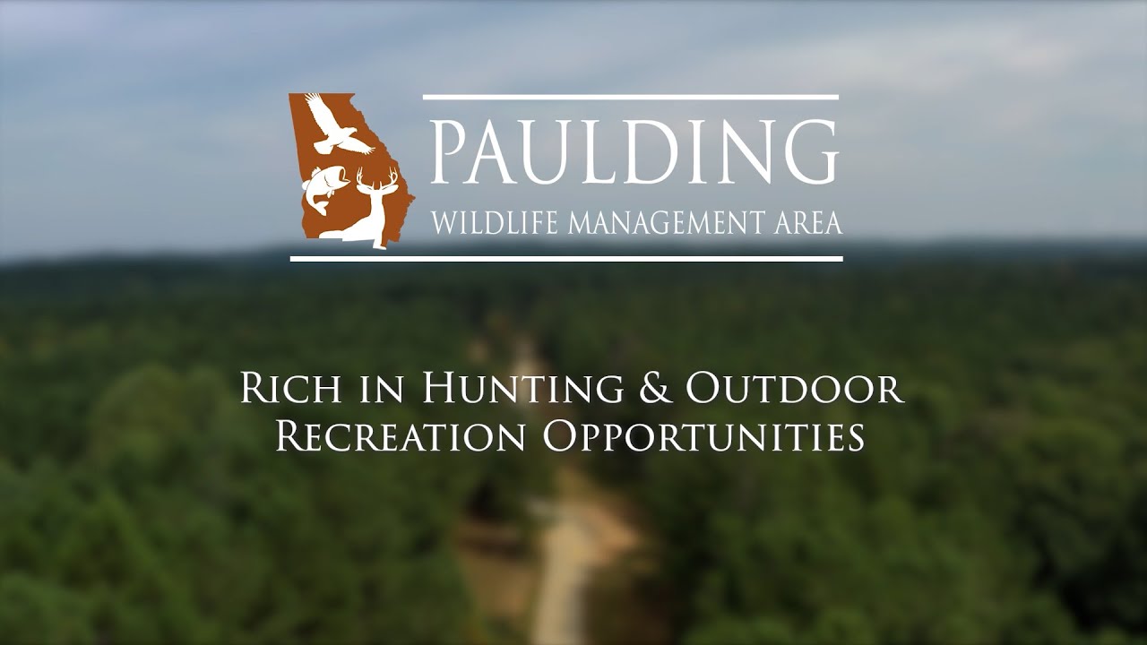 Paulding Wildlife Management Area: Hunting and Outdoor Recreation