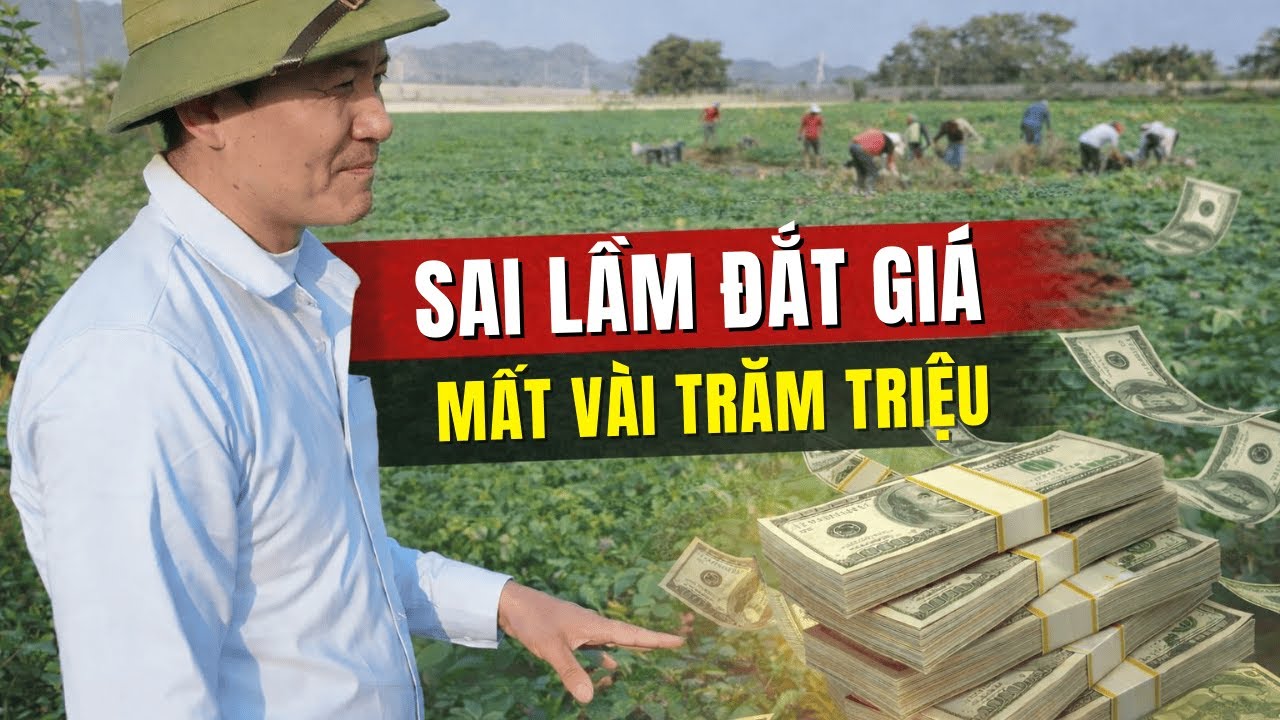 Một sai lầm trong canh tác khiến mất VÀI TRĂM TRIỆU tiền nhân công.