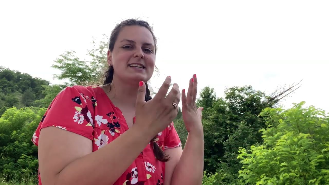 Treća trudnoća i porođaj // Porođaj u Americi