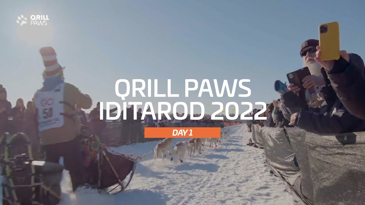 Iditarod Highlight | DAY 1 | QRILLPAWS 2022