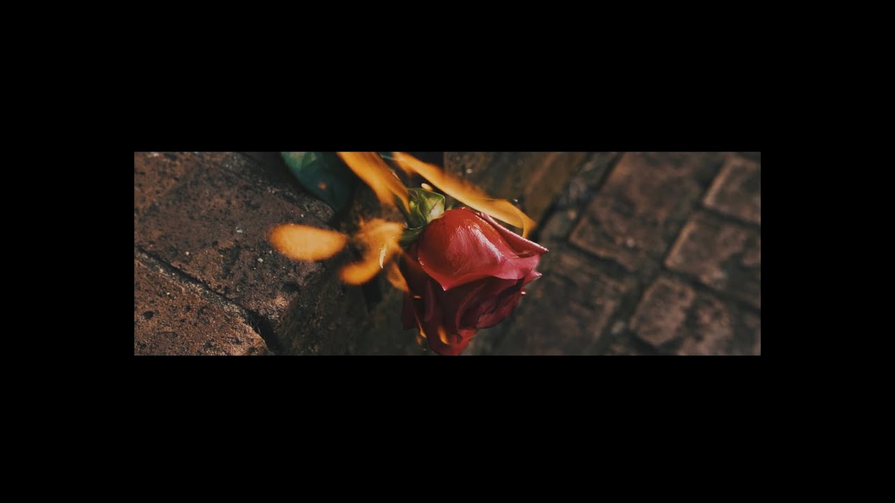 Cronicas De Una Rosa V&iacute;deo Oficial x Fanny Plaza (Freestyle)