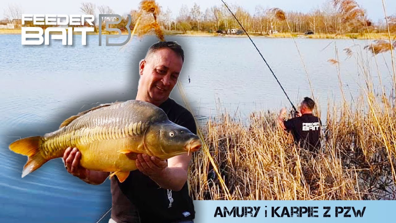 Sposób na Karpie z PZW - Method Feeder - Epidemia Feeder Bait