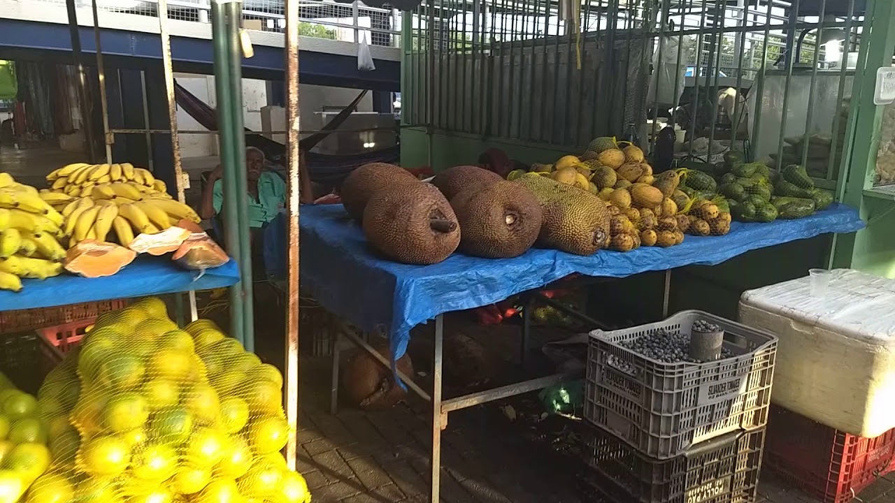 Feira da 304 Ponto turístico de Palmas no Tocantins mercado municipal público no Tocantins