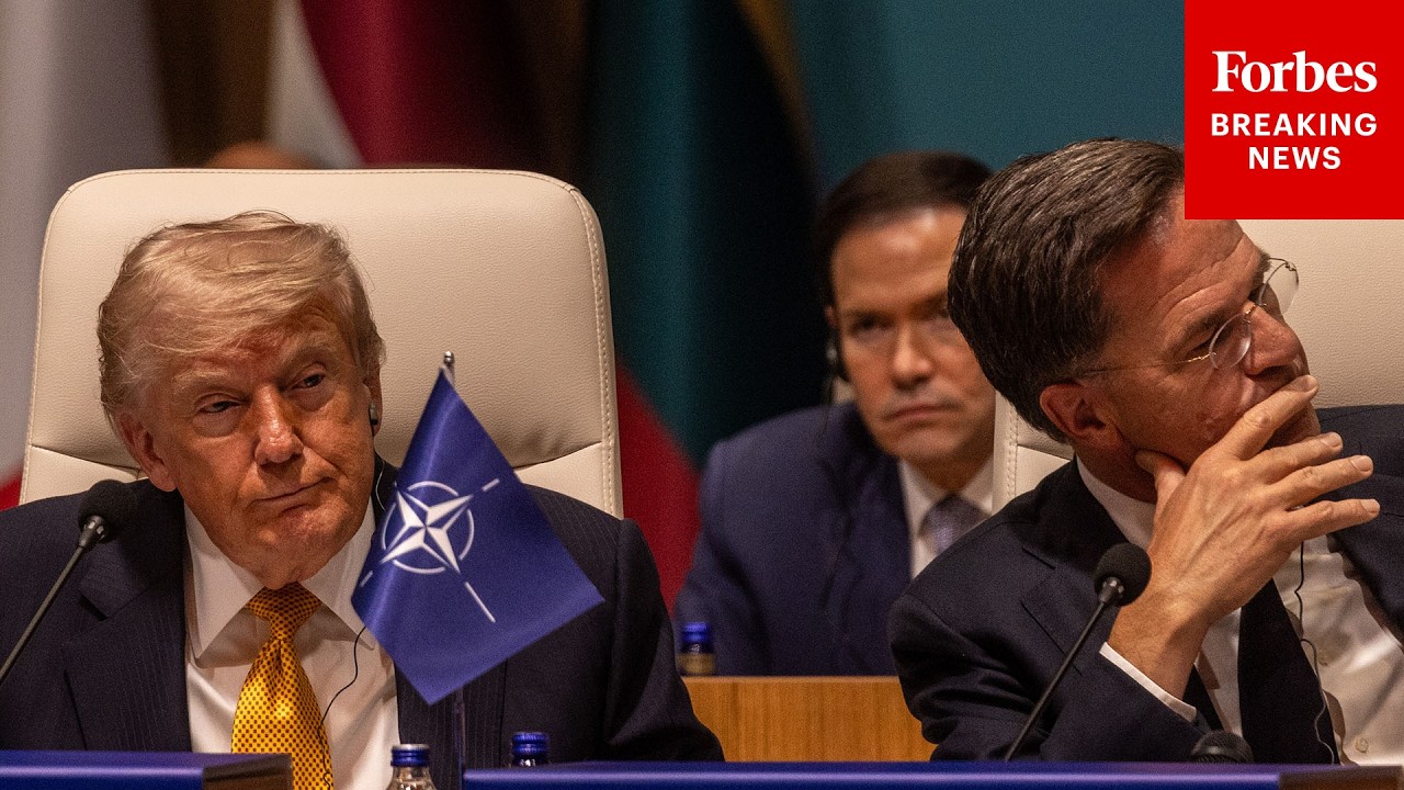 WATCH: President Trump Participates In Working Session At The NATO Summit In Ankara, Turkey