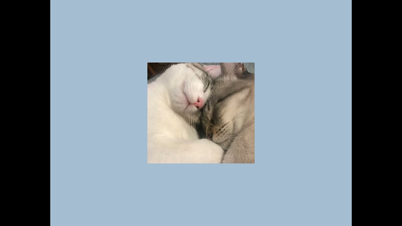 он мой волшебник он мой клад sped up