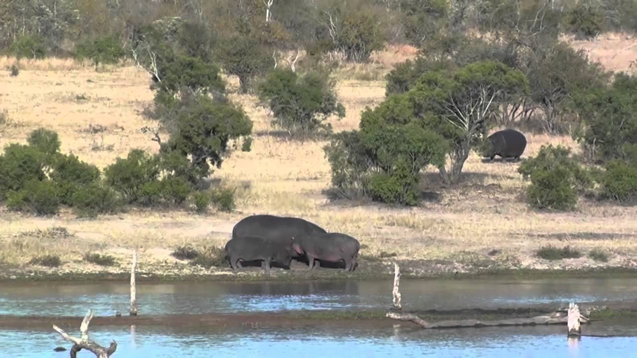 Buffelshoek Game Reserve