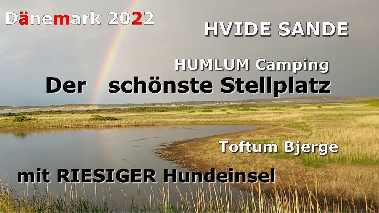 9 🇩🇰 Hvide Sande Wohnmobil Toftum Bjerge Humlum #Camping mit #Hund #campervan #travel #Dänemark