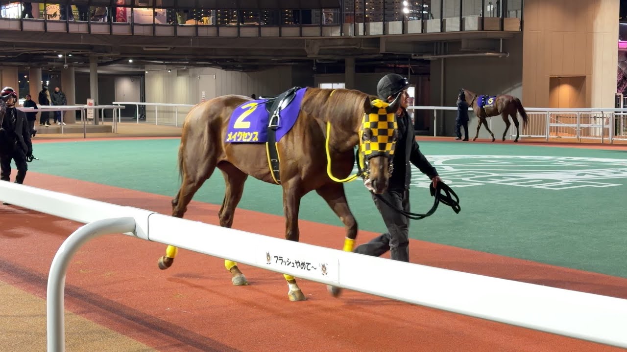 第3回 ネクストスター東日本のパドック