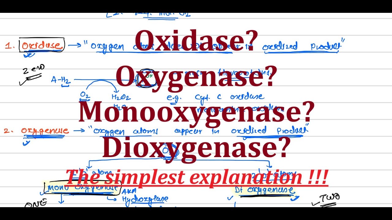 4. Oxidase vs Oxygenase | Made Extremely easy | Key Differences & Functions Explained