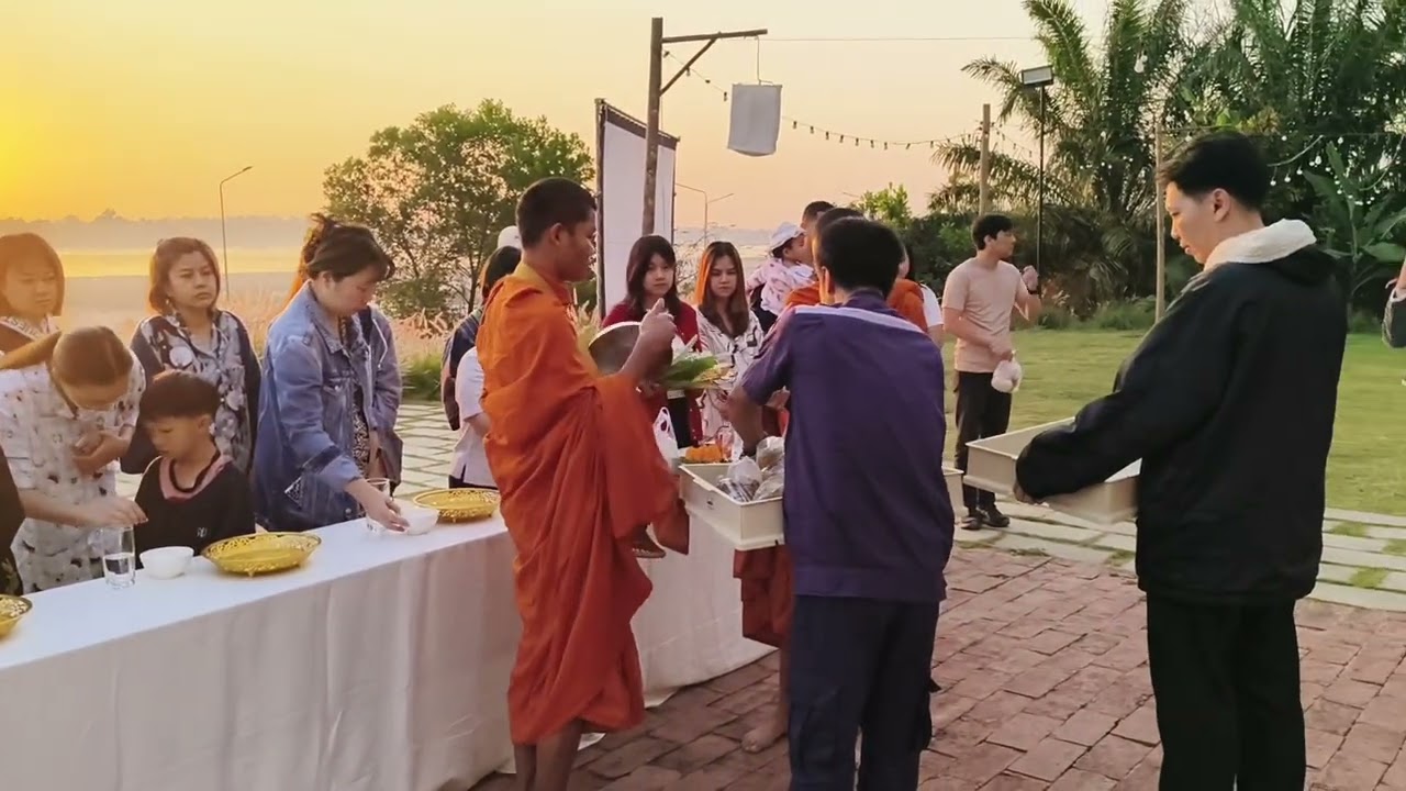 Sunrise offerings to monks#gooddeeds #ruralthailand #rurallife 