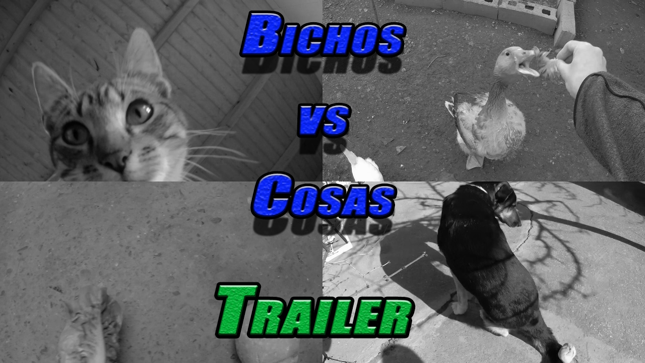 Animales. Batallas bichos vs cosas. Trailer