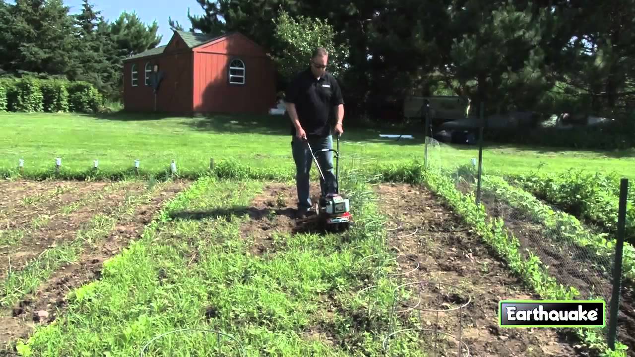 Removing weeds with a MC43 Mini Cultivator
