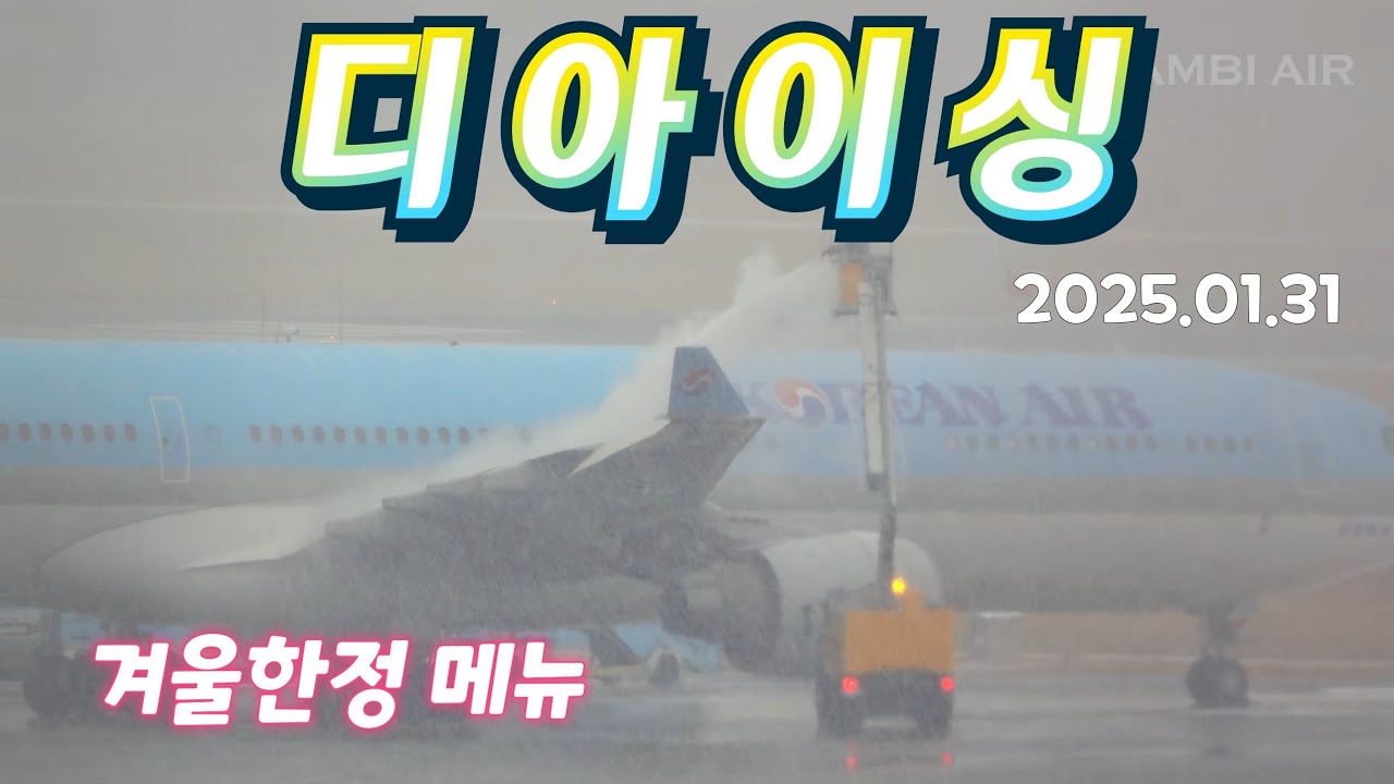 ✈️ 폭설 비행기 지연 이유 디아이싱 근접촬영 | De-icing Airplane in SEOUL | Seoul Gimpo Airport 서울 김포 국제공항