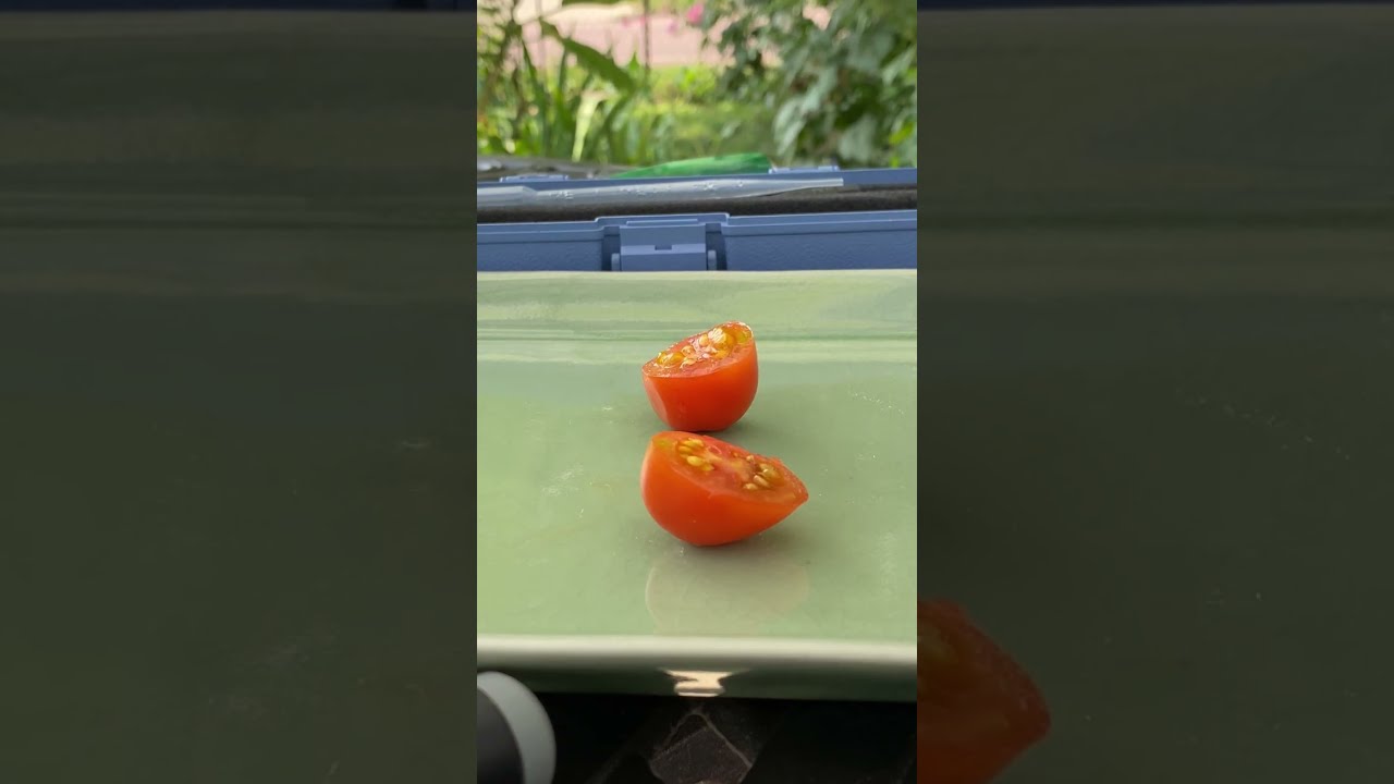 Tomato Review #28 - Taste Test of Principe Borghese