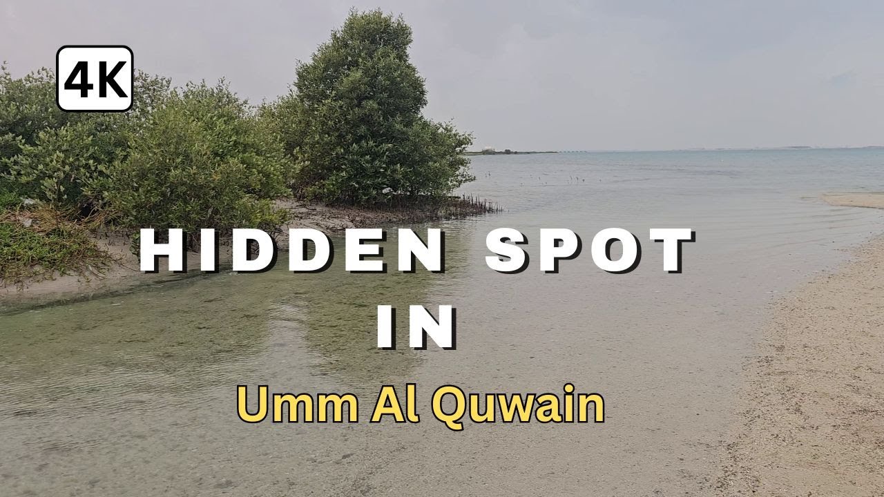 A Trip to a Hidden Spot in Umm Al Quwain | Peaceful Nature Escape 🌿