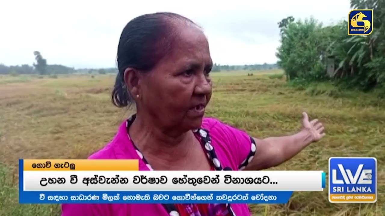 බඩඉරිඟුවලට සහතික මිලක් වී ගොවීන්ගේ දුක් ගැනවිල්ල