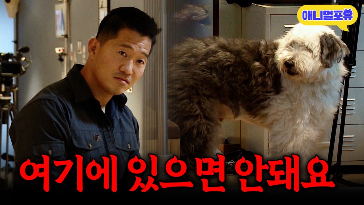 [레전드 풀버전] 행동 교정 받아도 안 바뀌는 강아지... 깊은 상념 에 빠진 강형욱?ㅣKBS 개는 훌륭하다 201123 방송