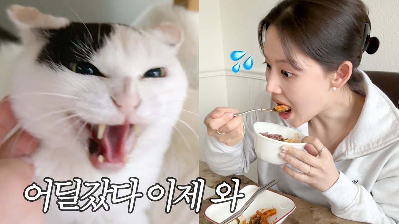애들 두고 1박2일 텍사스 시댁가서 한식 먹고오는 브이로그🛫 : LA리퍼블리크,텀블러정보,모네 똥스키⛷️식물마켓투어🪴왕땅콩 이금냥🥜 미국살이vlog🇺🇸
