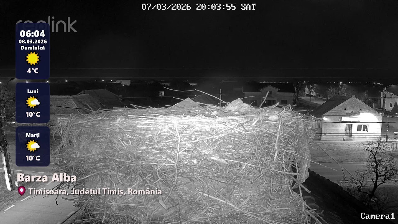 LIVE 🔴 WebcamRomania.ro | 2026-03-08 Partea 4