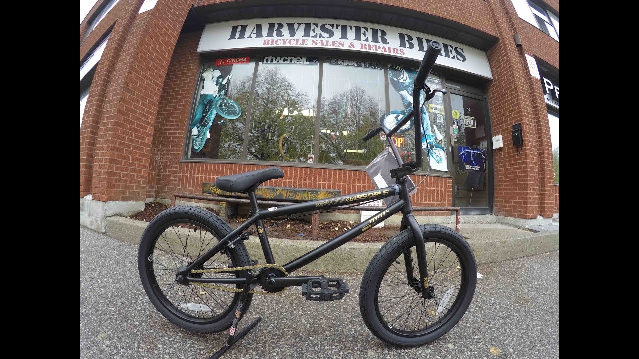 2019 Wethepeople Reason 20