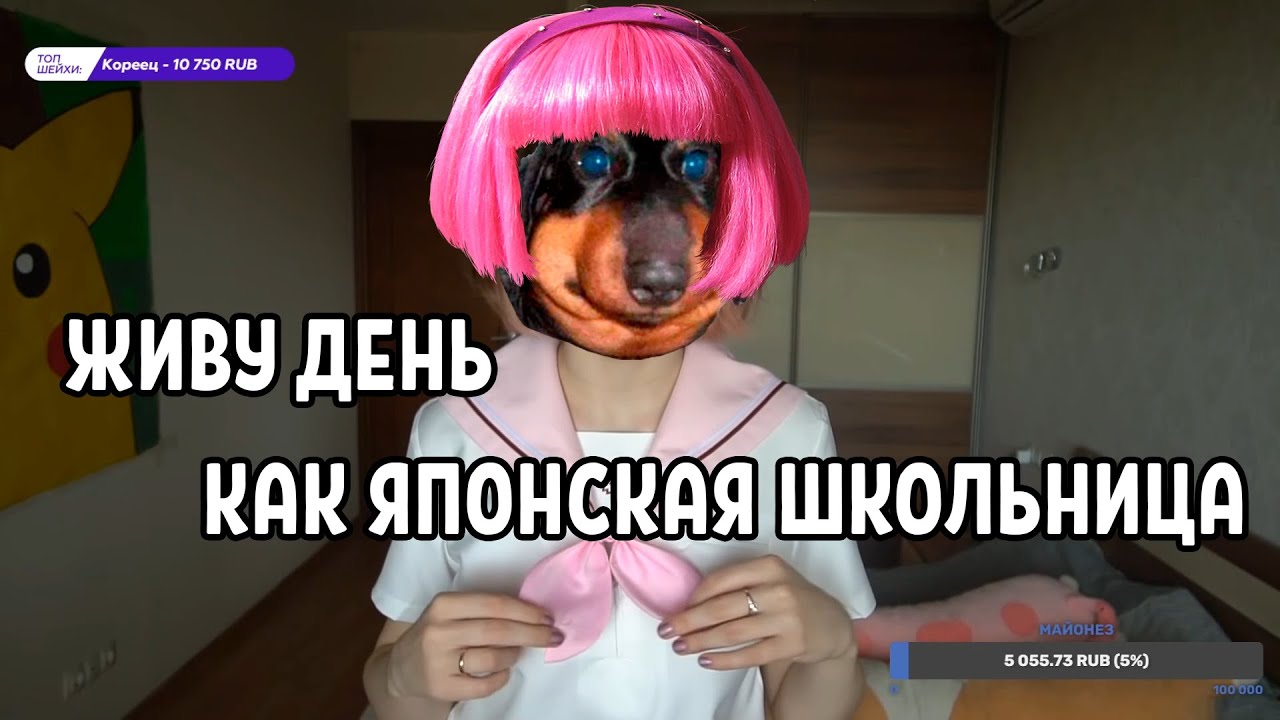 DAWG И ALISON - ЯПОНСКАЯ ШКОЛЬНИЦА, АРМРЕСТЛЕРЫ VS БОДИБИЛДЕРЫ