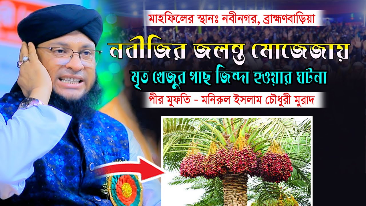 নবীজির জলন্ত মোজেজায় মৃত খেজুর গাছ জিন্দা হওয়ার ঘটনা। মুফতি মনিরুল ইসলাম চৌধুরী মুরাদ