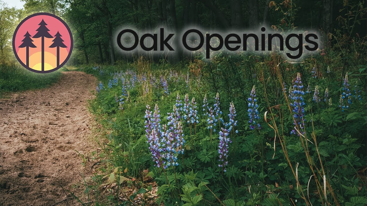 Exploring The Oak Openings Region - A Cinematic Short Film