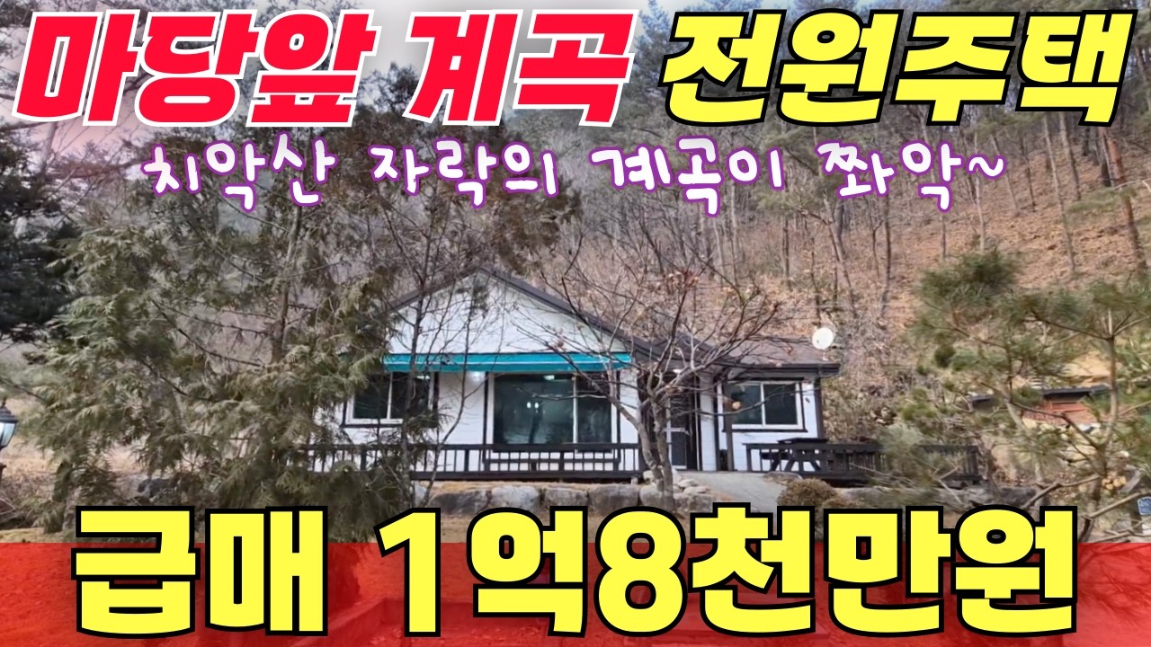 급매 마당앞 계곡 전원주택 / 치악산 자락의 계곡 / 6500인하 1억8천