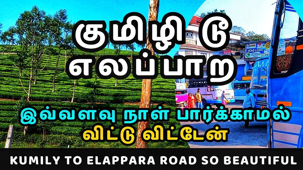 🍃குமிளி டூ எலப்பாற 🍀|Kumily to Elappara |  EVERYWHERE GREEN TEA ☕ | Kumily Series