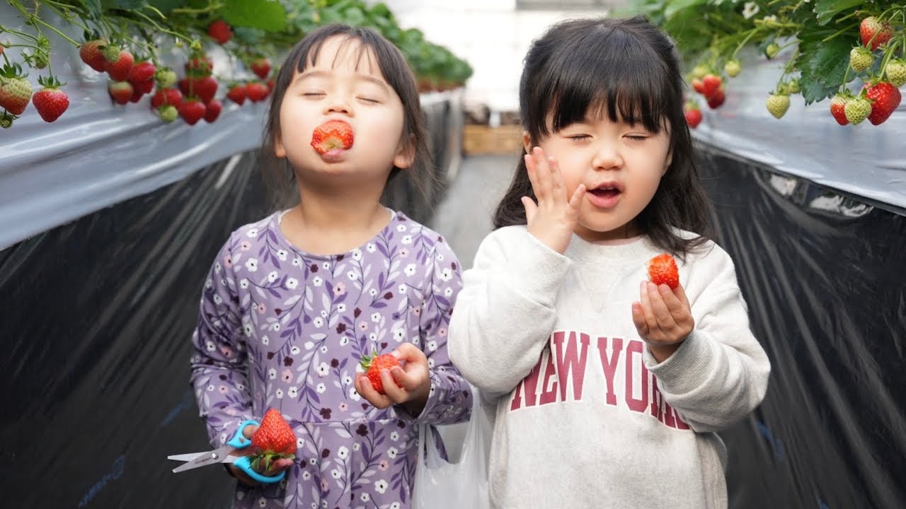 4歳親友といちご狩り！