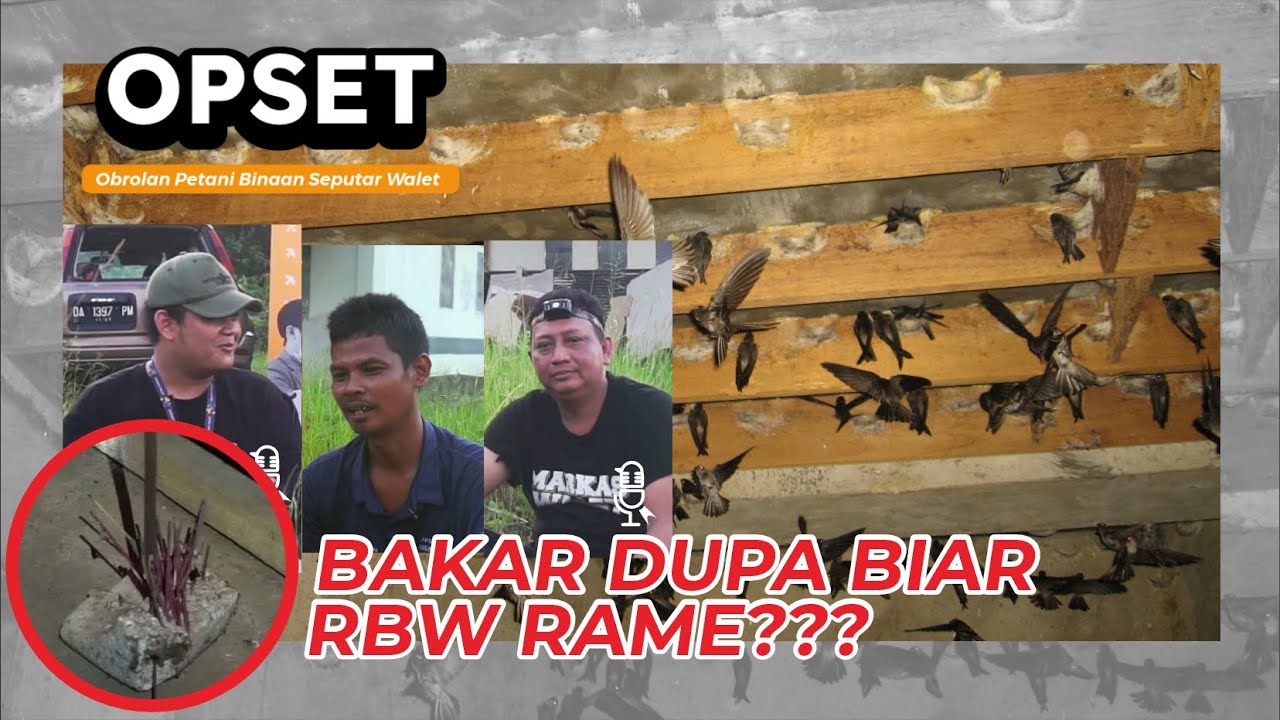 OBROLAN SEPUTAR PETANI WALET | INI RUMAH BURUNG WALET TERLALU CEPAT UNTUK BERKEMBANG!!!!!