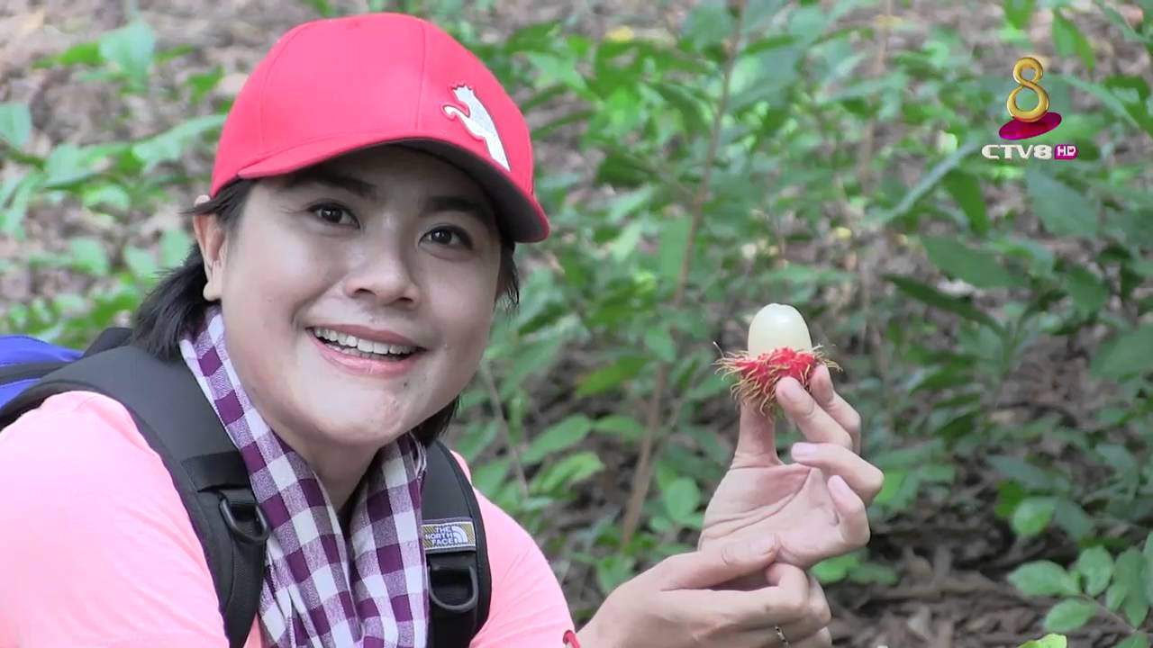 Travel In Cambodia ( Pailin ) Part 01
