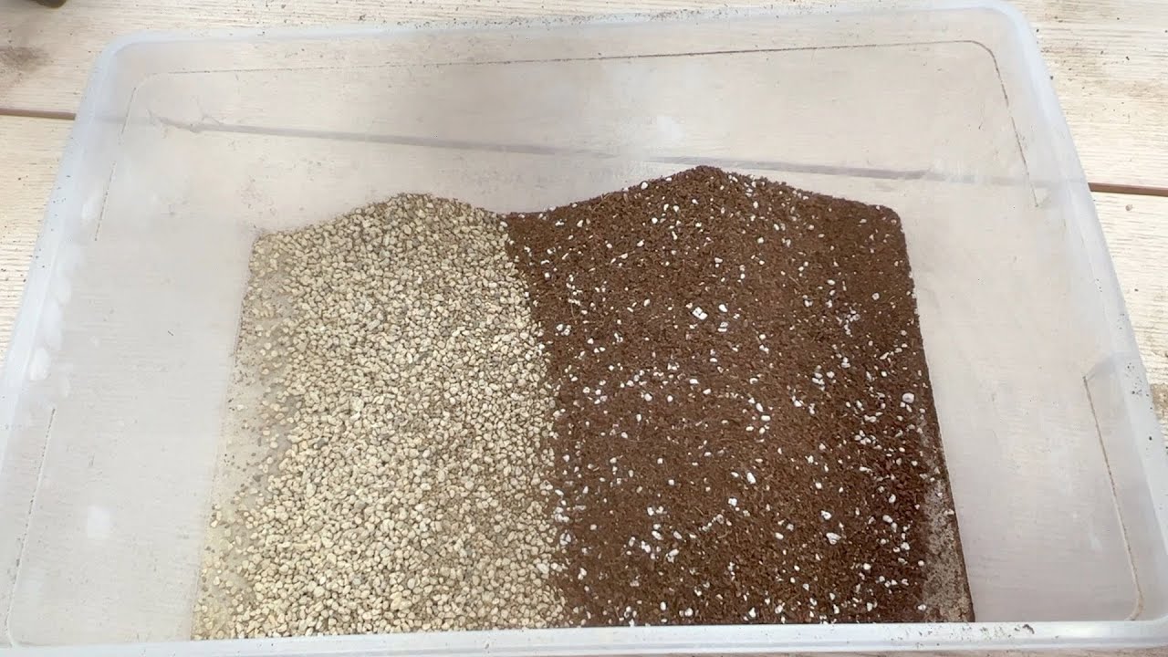 sub) How to make lithops sowing soil l How to make conophytums sowing soil