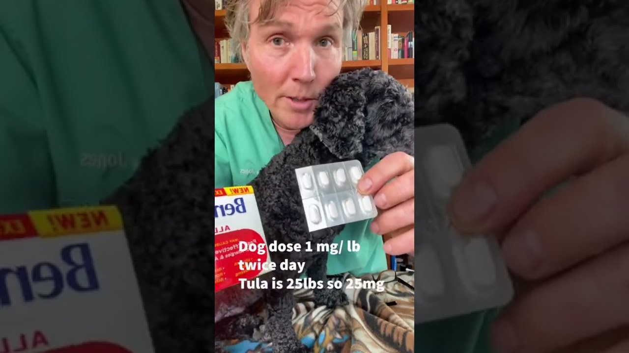 STOP Dog Licking at Night